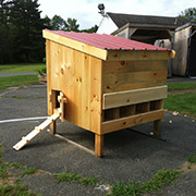 Mini Chicken Coop