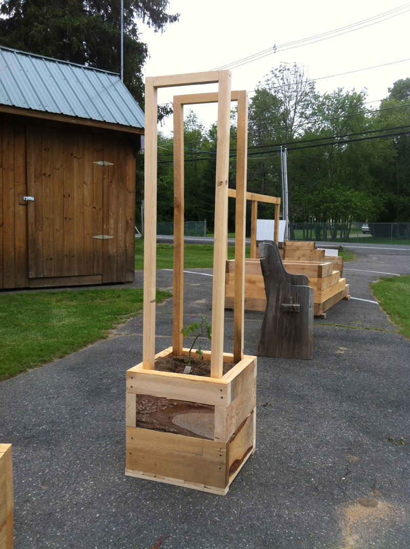 Tomato Planter Box