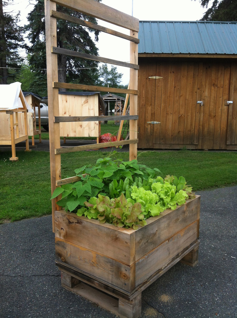 2 x 3 Planter Box/Trellis