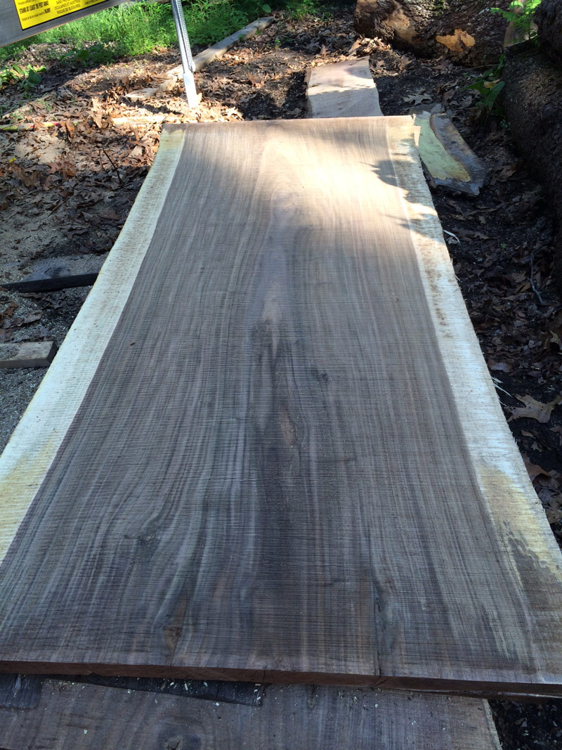 Black Walnut Wood Slabs