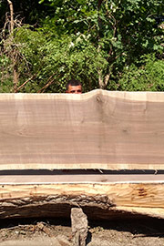 Wood Slabs - Butternut