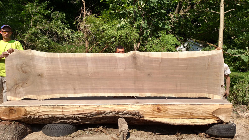 Butternut Wood Slabs