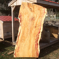 Wood Slabs