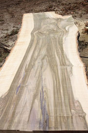 Wood Slabs - Tulip Poplar