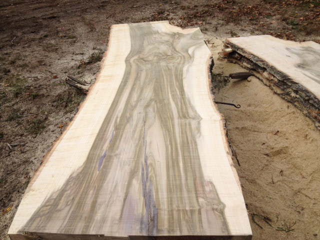 Tulip Poplar Wood Slabs